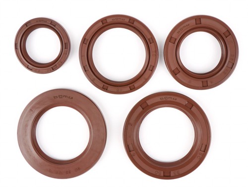 Shaft seal set bgm - bgm, motor