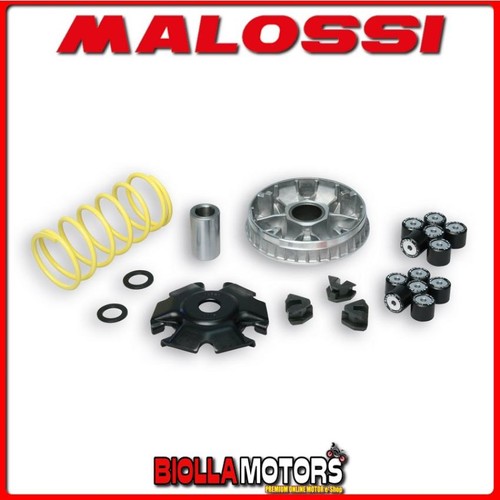 5118659 variator malossi - variator,